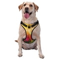 thumbnail image 1 of Haiem Rose Psychedelic Pattern No-Pull Dog Harness Reflective Front Clip Vest with Handle,Step-in Air Dog Harness,Adjustable 2 Metal Rings 4 Buckles-X-Large, 1 of 6