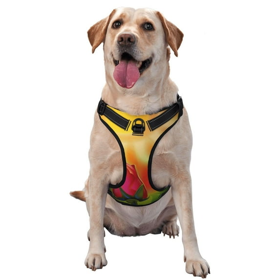 Haiem Rose Psychedelic Pattern No-Pull Dog Harness Reflective Front Clip Vest with Handle,Step-in Air Dog Harness,Adjustable 2 Metal Rings 4 Buckles-X-Large