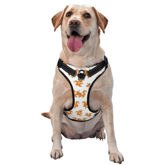 Haiem Squirrel Playing Pattern No-Pull Dog Harness Reflective Front Clip Vest with Handle,Step-in Air Dog Harness,Adjustable 2 Metal Rings 4 Buckles-X-Large