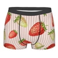 thumbnail image 1 of Haiem Strawberries Men's Boxer Briefs, Every Day Comfort Stretch Cotton Moisture-Wicking Underwear-Large, 1 of 9