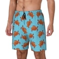 thumbnail image 1 of Haiem Turtle Mens Swim Trunks with Compression Liner 2 in 1 Swimming Shorts Stretch Swimwear Quick Dry,Board Shorts-Small, 1 of 9