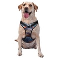thumbnail image 1 of Haiem Underwater Lazy Turtle Pattern No-Pull Dog Harness Reflective Front Clip Vest with Handle,Step-in Air Dog Harness,Adjustable 2 Metal Rings 4 Buckles-Small, 1 of 6