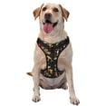 thumbnail image 1 of Haiem Various Mushrooms Pattern No-Pull Dog Harness Reflective Front Clip Vest with Handle,Step-in Air Dog Harness,Adjustable 2 Metal Rings 4 Buckles-X-Large, 1 of 6