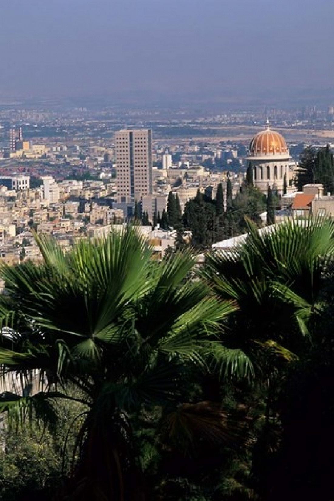 Haifa Cityscape from Bahai Dome Israel Canvas Art - Bill Bachmann DanitaDelimont (24 x 36)