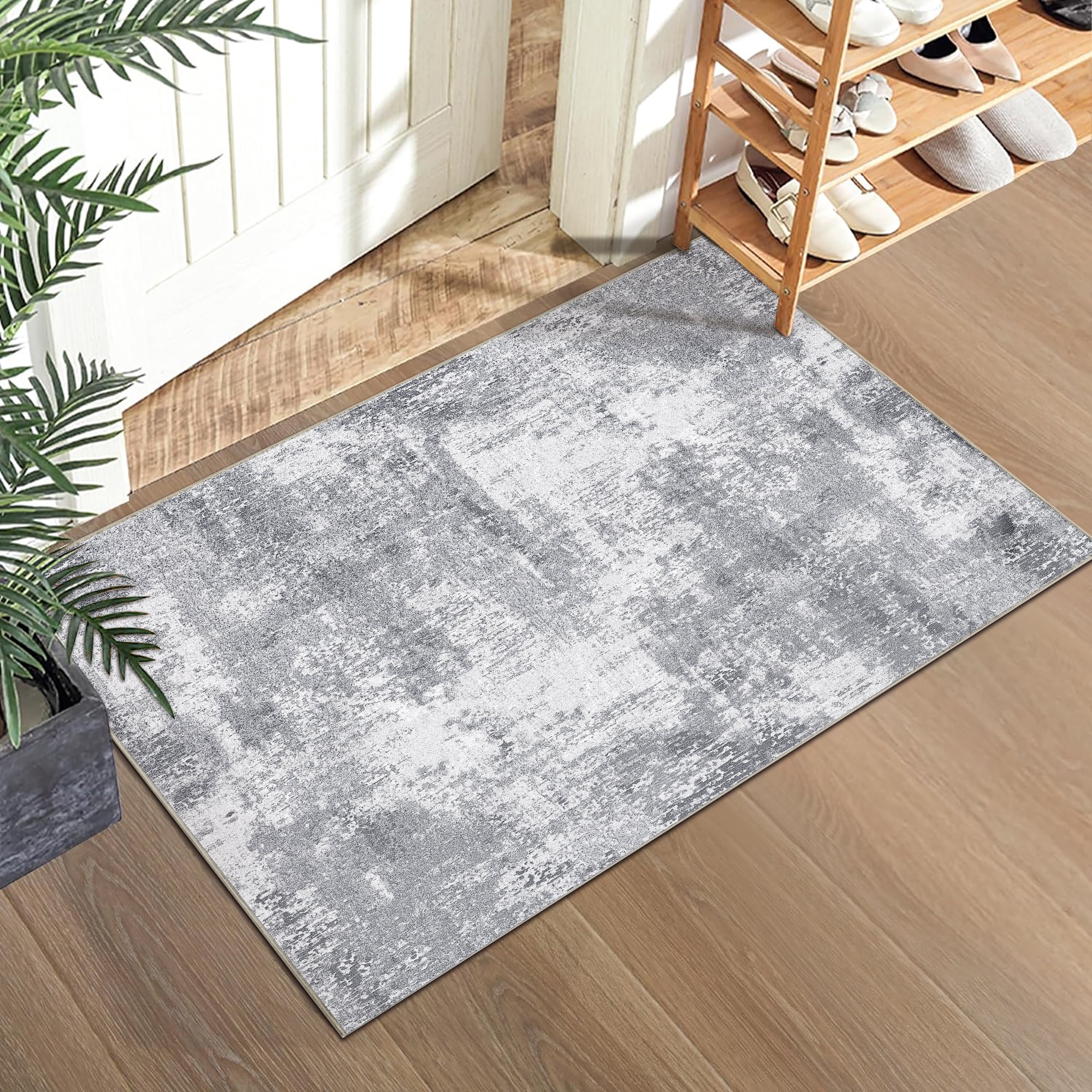 BERTHMEER 2'x3' Small Area Rug for Entryway Kitchen Living Room Bedroom ...