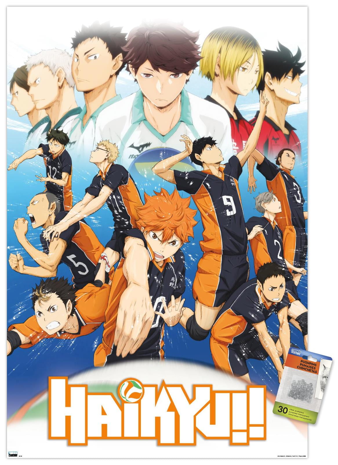 Haikyu!! Season 4 Premium Box Set