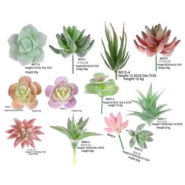 Haimni 12Pc Mixed Artificial Succulents Plant Fake Plants Garden Home Office Decoration
