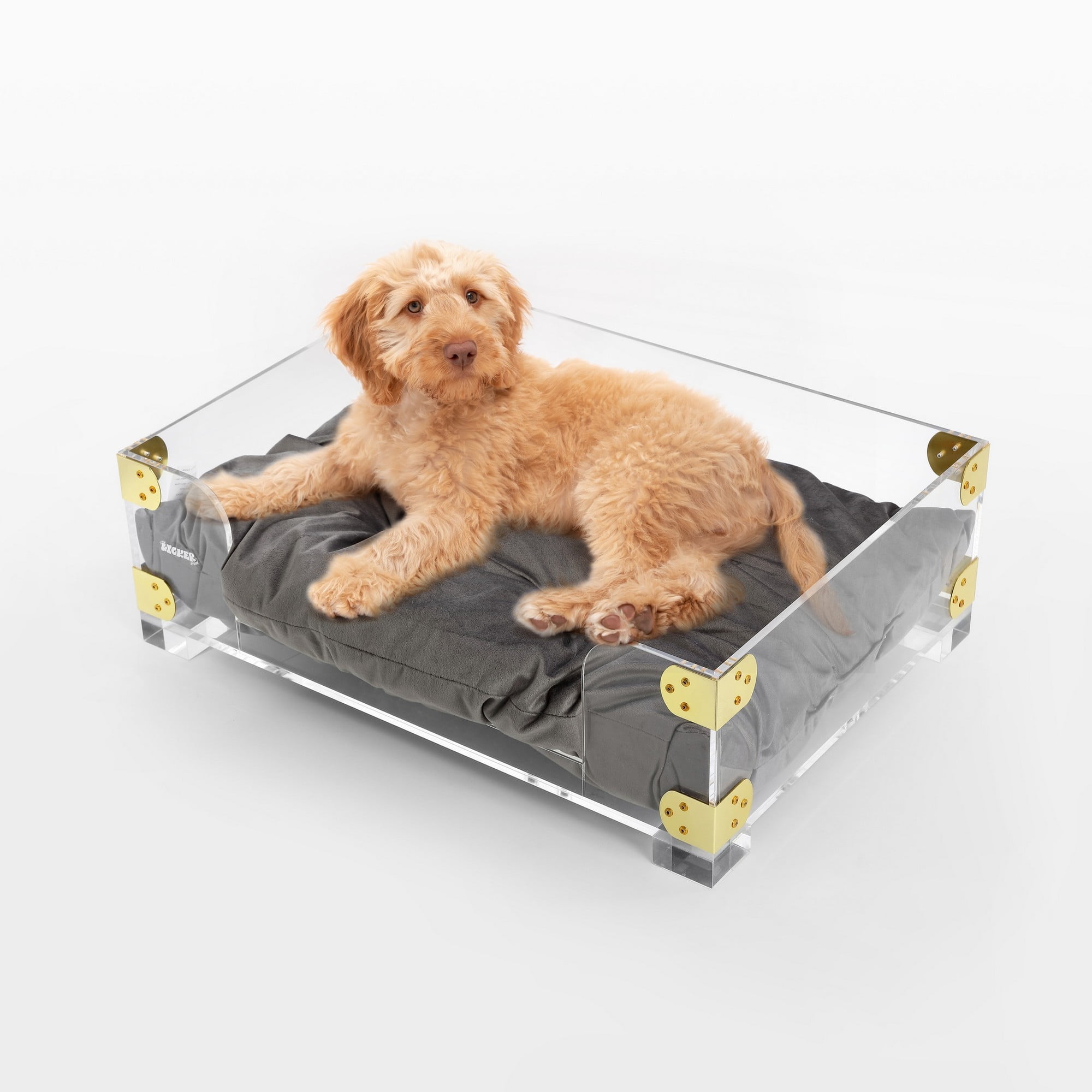 Haines 21.5" x 15.25" Small/Medium Clear Acrylic and Velvet Pet Bed with Brass Accents