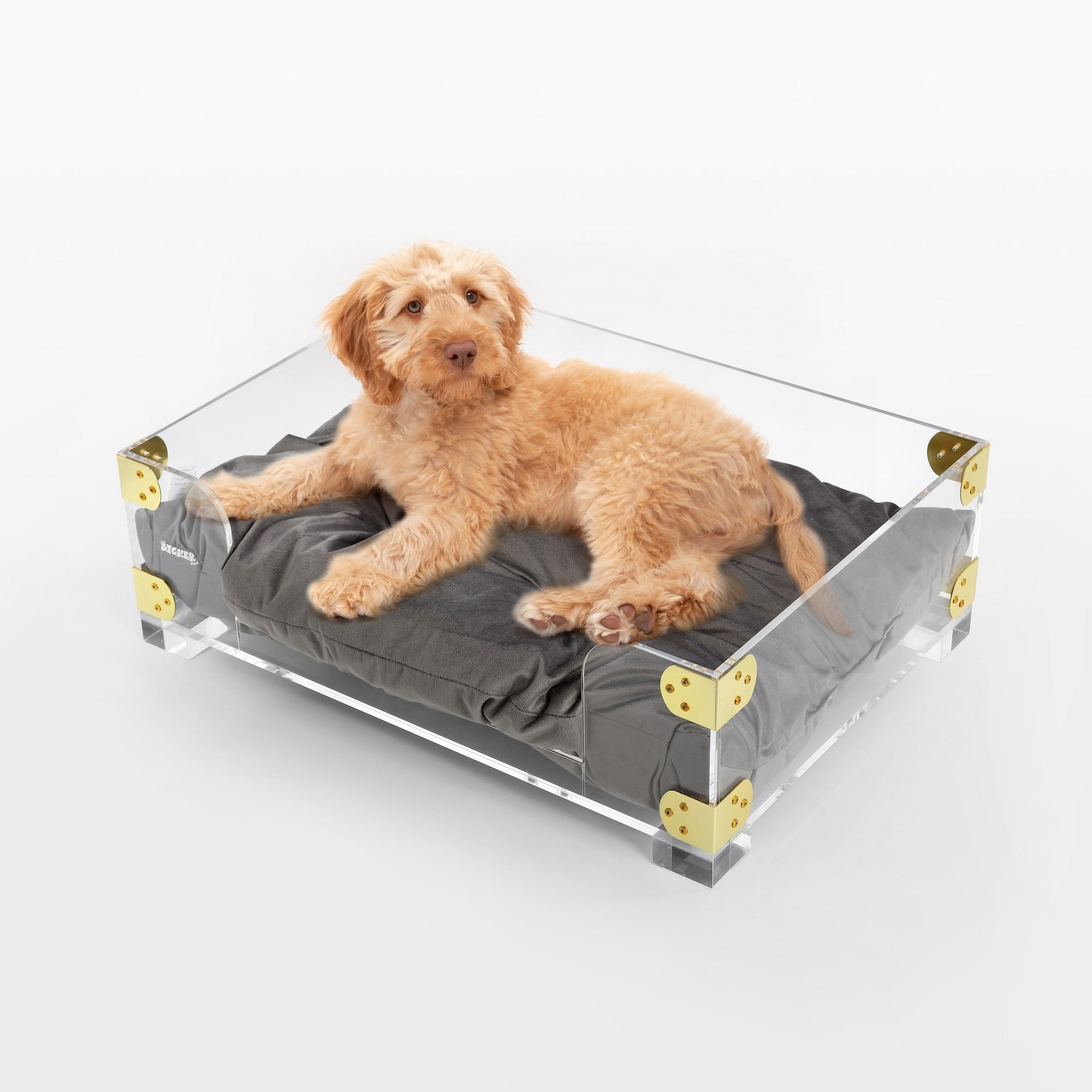 Haines 21.5" x 15.25" Small/Medium Clear Acrylic and Velvet Pet Bed with Brass Accents