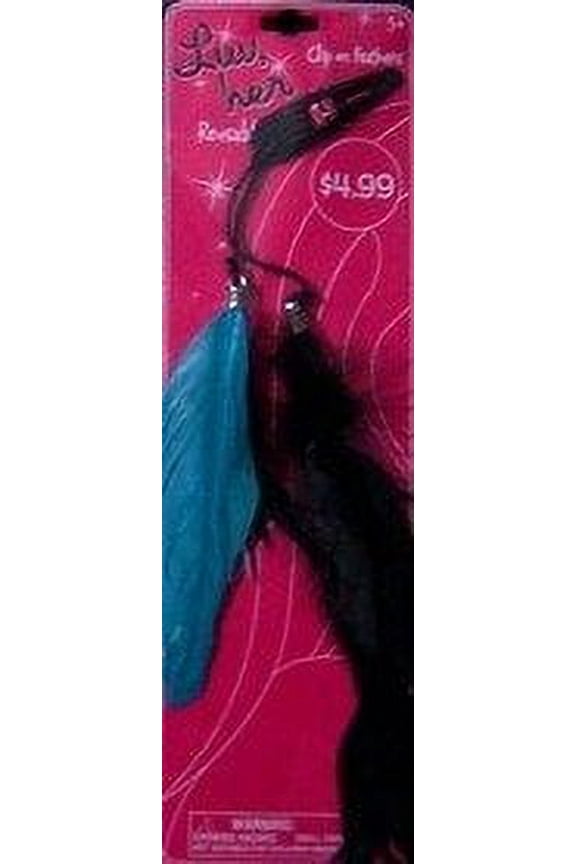 Hair Accessory Clip on Feather