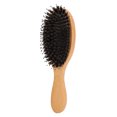 Hair Brush Dense Nylon Gas Bag Massage Comb for Thick Curly Long Fine