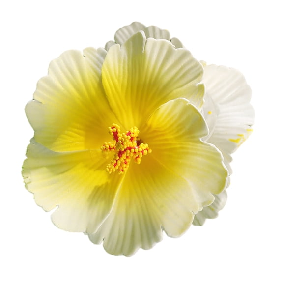 Hair Claw Clip Beach Hibiscus Claw Hair Barrettes Unique Adornment Hairpin Fashion Unique Ornamentation