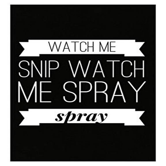 Hair Stylist Poster - 13x19 - Wall Art for Hairdressers Gift