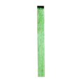 thumbnail image 1 of Hair Tape In Hair Extensions Sparkly Glitter Fairy Hair Long Party Festival Colored Extensions for Girls, 1 of 3