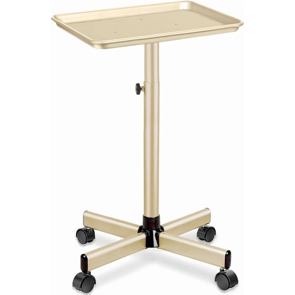 Hair Tray on Wheels Gold Salon Rolling Tray