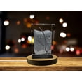 thumbnail image 1 of Hair follicle | 3D Engraved Crystal Keepsake | Gift|Collectible | Home decor - AB Crystal Collection, 1 of 7