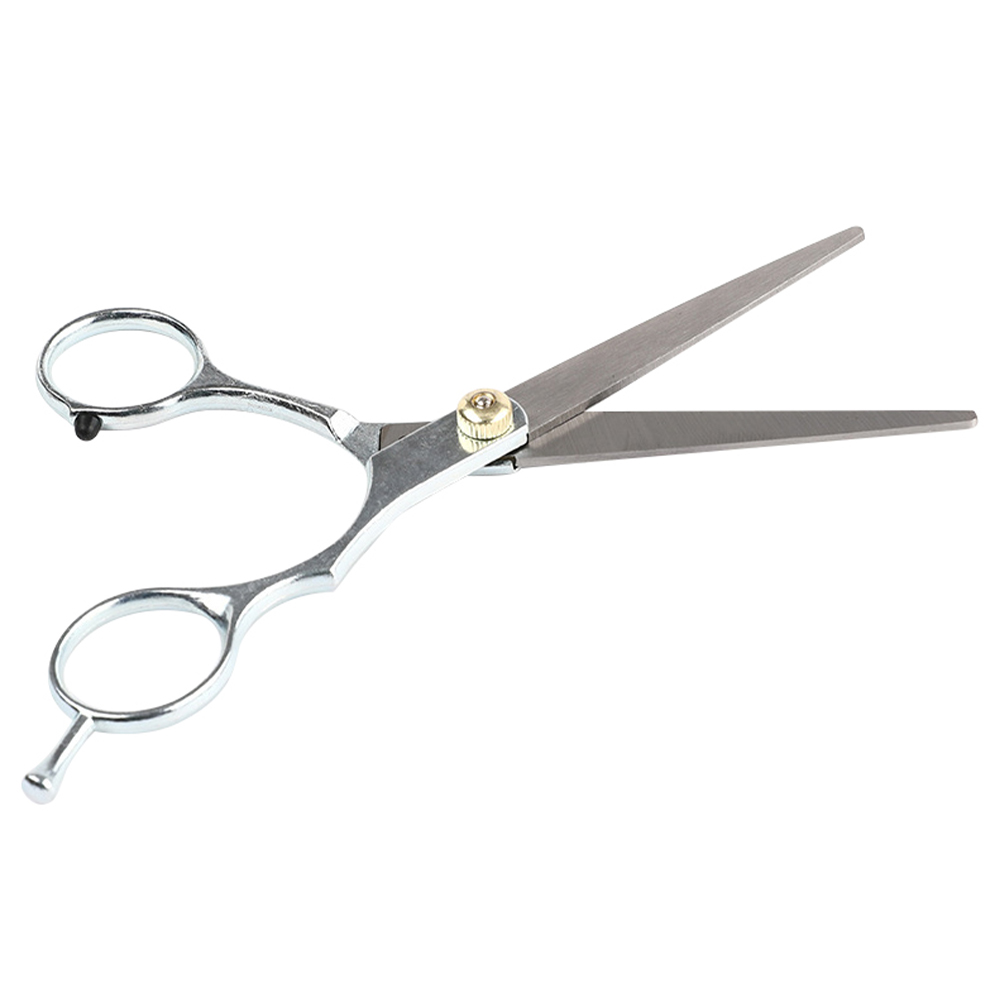 Hairdressing Scissor Hair Trimming Scissor Stainless Steel Haircut