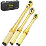 Hairich 3-Piece Click Torque Wrench Set, 1/4 3/8 1/2 Drive 72-Tooth Dual Ratchet Torque Wrenches, Gold Laser Scale Adjustable Torque Kit with Storage Case for Bike, Motorcycle & Auto Repair