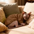 thumbnail image 1 of Hairless Cat Hoodie, Soft Winter Coat for Hairless Cats, Cat Sweater Clothes for Cold Weather, 1 of 6