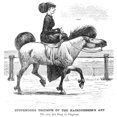 thumbnail image 1 of Hairstyle C1865. N'Stupendous Triumph Of The Hairdresser'S Art.' Wood Engraving American C1865. Print by, 1 of 1