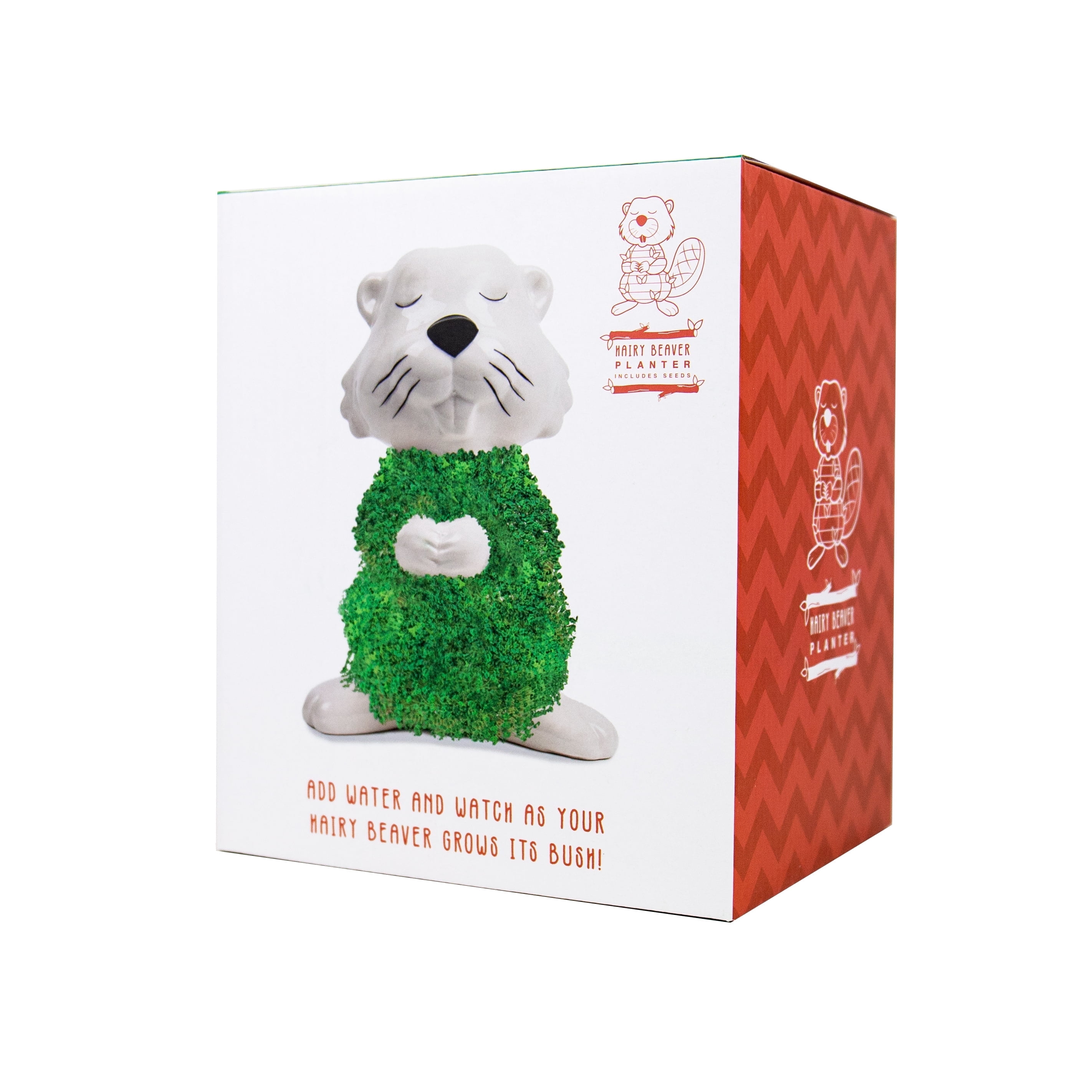 Hairy Beaver Chia Planter – Funny Novelty Animal Planter with Chia Seeds – Ceramic Grow Kit for Windowsill or Desktop Decor – Humorous Gift Idea for Adults