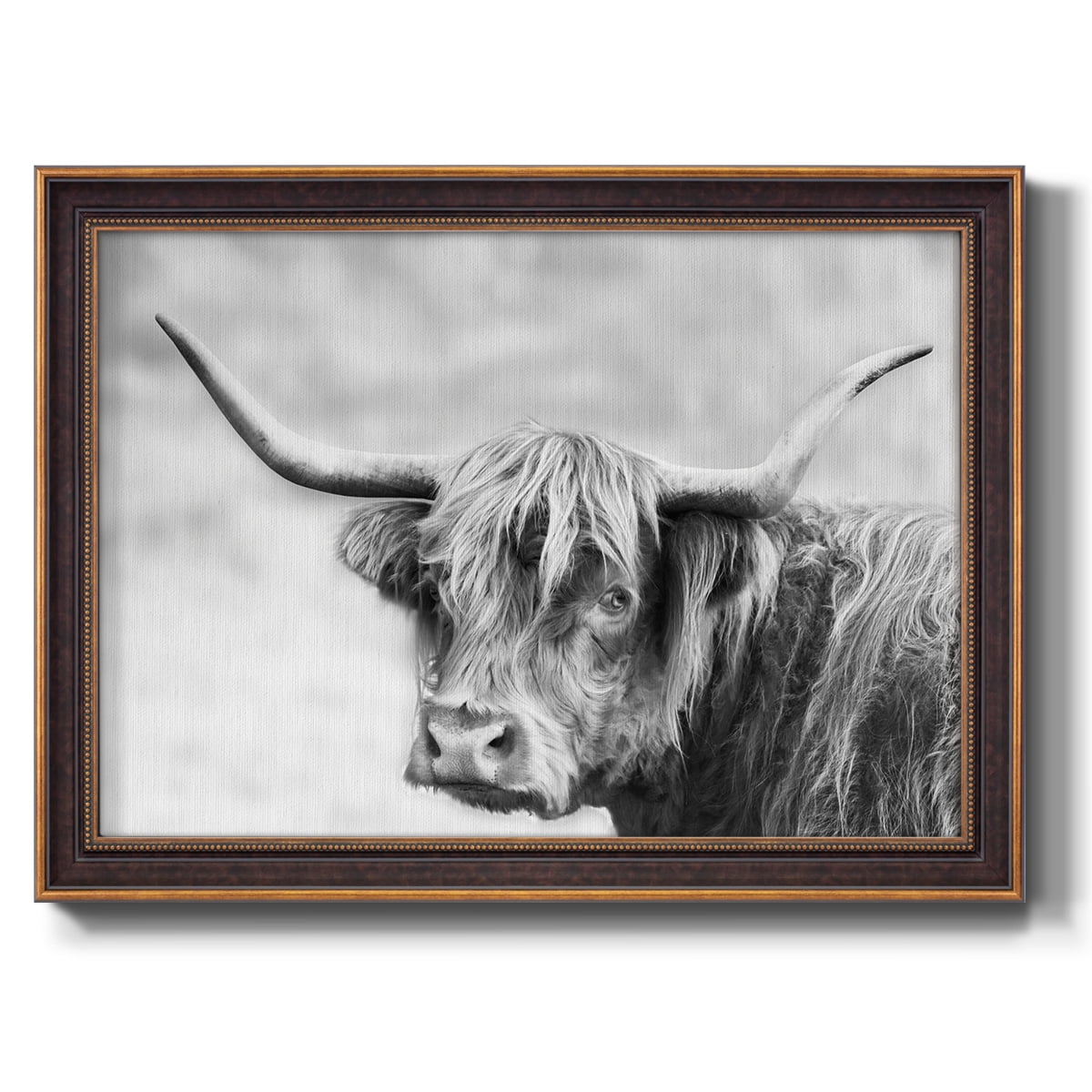 Hairy Highland Hazy Day Premium Framed Canvas- Ready to Hang