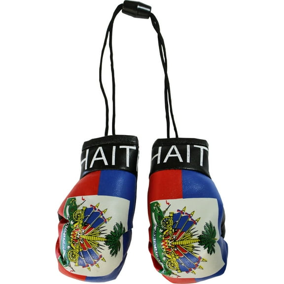 Haiti Mini Boxing Gloves