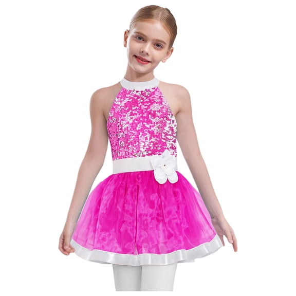 Haitryli Big Girls Shiny Sequin Ballet Leotard Tutu Dress Layered Tulle Skirt Gymnastics Dance Ballerina Outfit Hot Pink 6