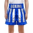thumbnail image 1 of Haitryli Boys Sides Slit Metallic Boxing Shorts Color Block Satin Kickboxing Muay Thai Trunks Themed Party Dress Up Blue Silver 10, 1 of 6