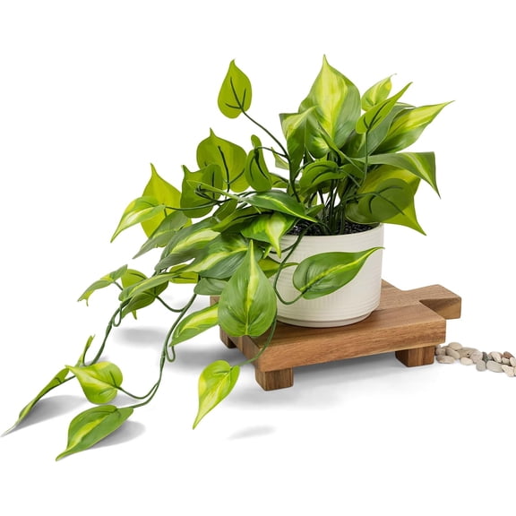 Hakelli Dark Green Fake pothos | Fake Plant for Shelf Decor | Artificial Trailing Ivy Plant with 5" Wide x 3.5" high Ceramic Pot Faux pothos Plant for Floating Shelves