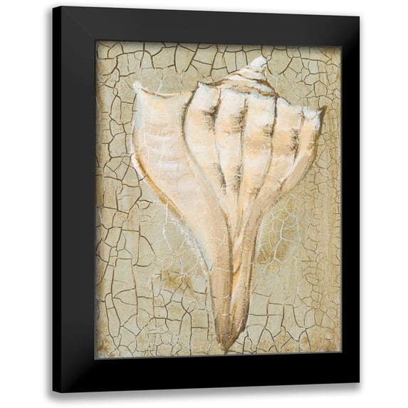 Hakimipour-Ritter 12x14 Black Modern Framed Museum Art Print Titled - Seashell II