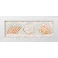 thumbnail image 1 of Hakimipour, Tiffany 24x11 White Modern Wood Framed Museum Art Print Titled - Sandy Shells II, 1 of 4