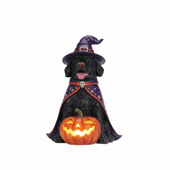 Hakunofo Black Labrador Witch Dog Statue 15.35 x 14.17 x 19.69 in, Resin LED Halloween Garden Statue, Spooky Indoor Outdoor Porch Patio Tabletop Decor Party Gift for Pet Lovers