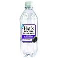 thumbnail image 1 of Hal's New York Seltzer Water 20 Fl Oz (Pack of 6) (Blackberry), 1 of 2
