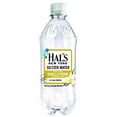 thumbnail image 1 of Hal's New York Seltzer Water 20 Fl Oz (Pack of 6) (Vanilla Cream), 1 of 6