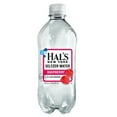 thumbnail image 1 of Hal's Raspberry New York Seltzer Water 20 oz Plastic Bottles -Pack of 24, 1 of 1