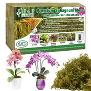 Halatool 1.1LB Green Forest Moss- 25QT Natural Sphagnum Moss for Plants Fluffy Orchid Moss for Orchids Repotting Dried Plant Moss for Potted Plants Indoor & Outdoor