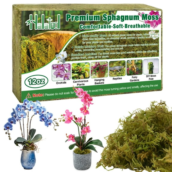 Halatool 12OZ Premium Sphagnum Moss for Plants, 12QT Green Moss for Plants Indoor Potted Orchid Moss for Repotting Succulent Carnivorous Terrarium Gardening Reptiles