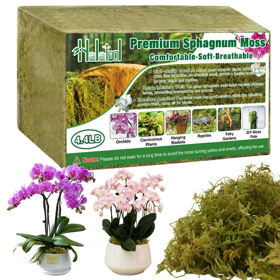 Halatool 4.4LB Green Forest Moss- 25QT Natural Sphagnum Moss for Plants Fluffy Orchid Moss for Orchids Repotting Dried Plant Moss for Potted Plants Indoor & Outdoor