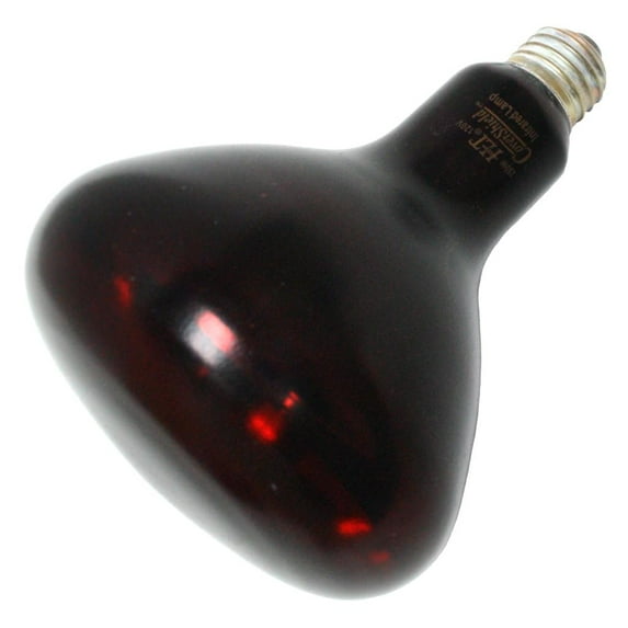 Halco 404071 - R40RED250/10/CSTF Heat Lamp Light Bulb