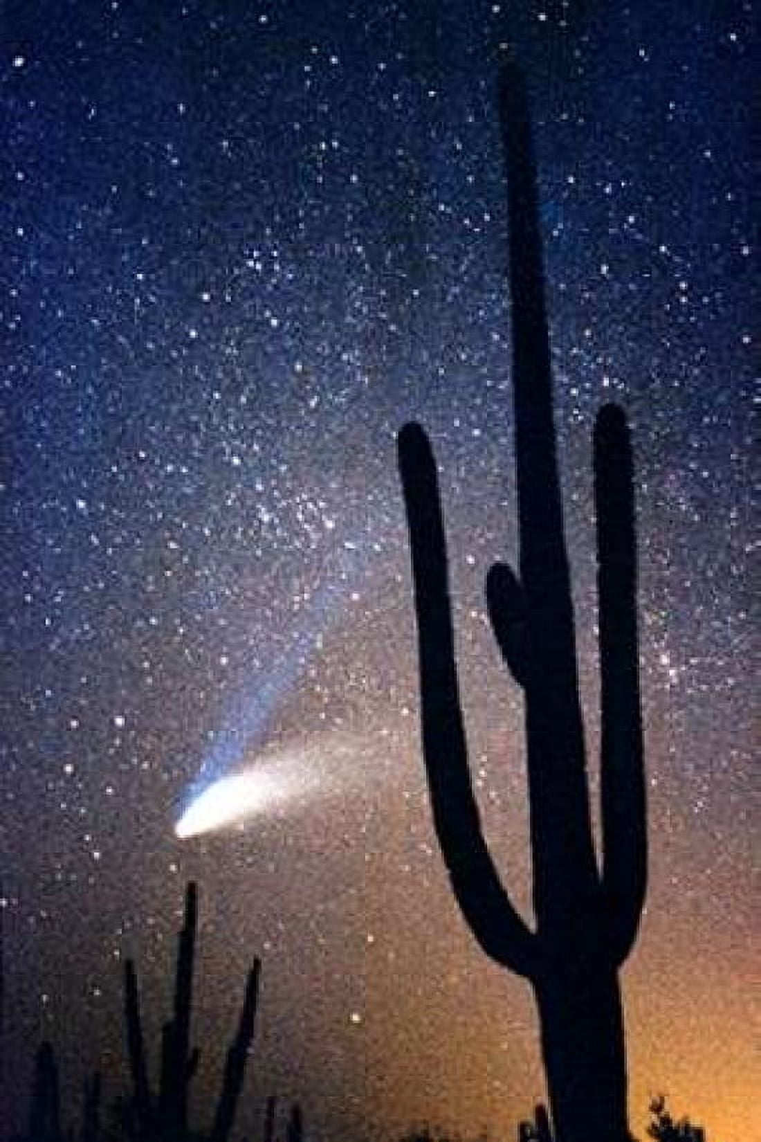 Hale Bop Comet Canvas Art - Douglas Taylor (24 x 36)