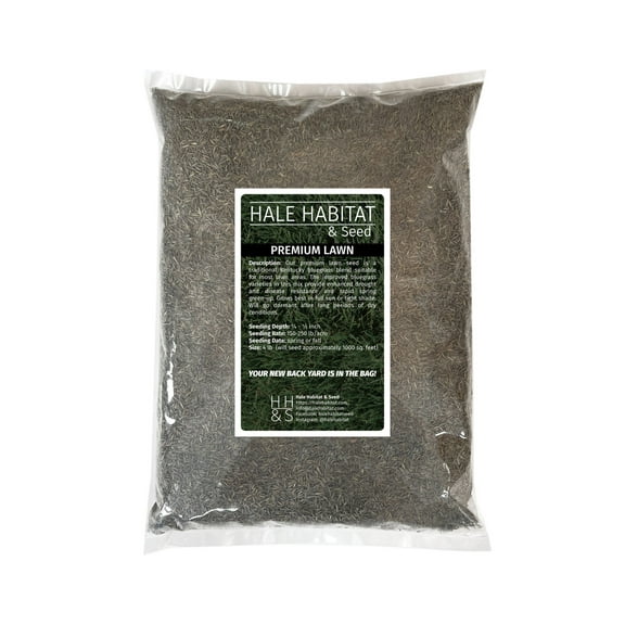 Hale Habitat & Seed Premium Lawn Seed Mix, Bluegrass Blend for Traditional Lawns, 1000 Square Feet