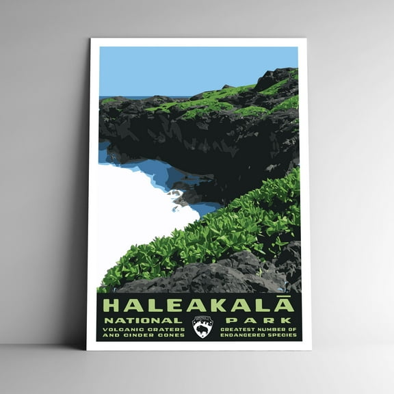 Haleakalā National Park Vintage Travel Poster / Postcard WPA Style Haleakala Hawaii