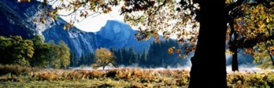 Half Dome Yosemite National Park California USA Canvas Art - Panoramic Images (18 x 6)