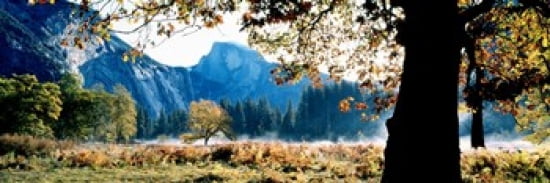 Half Dome Yosemite National Park California USA Canvas Art - Panoramic Images (36 x 12)