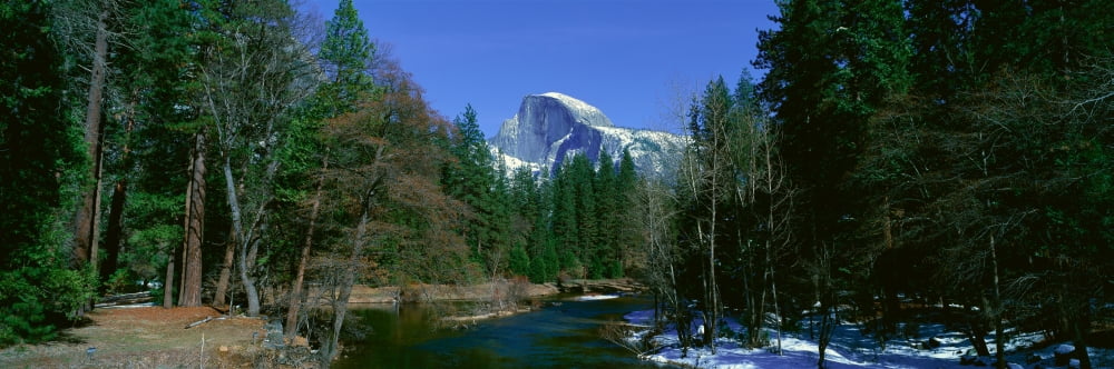 Half Dome and Merced River In Winter Yosemite National Park California Canvas Art - Panoramic Images (36 x 12)