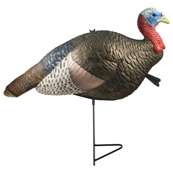 Half Strut Jake Decoy, Realistic Jake Turkey Decoy with 2-Piece Stake