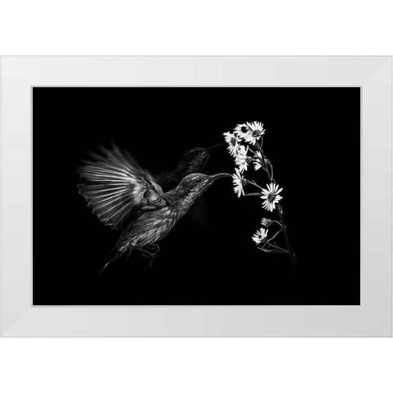 Halil, Andi 14x11 White Modern Wood Framed Museum Art Print Titled - Motion