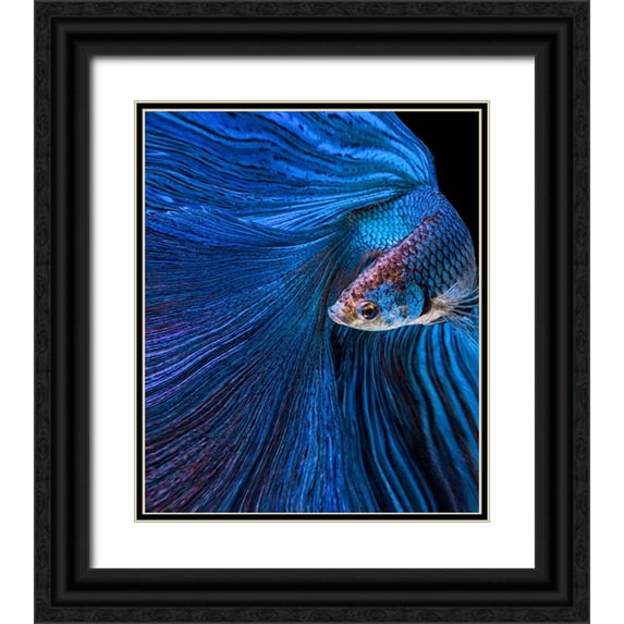 Halil, Andi 20x23 Black Ornate Wood Framed with Double Matting Museum Art Print Titled - Blue Moon