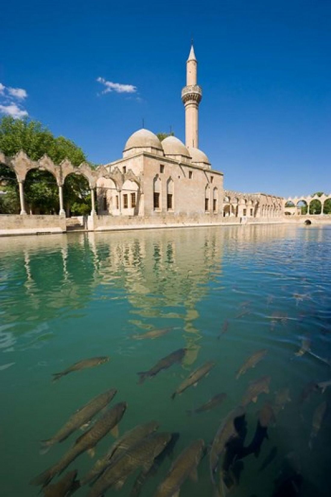 Halil-ur Rahman Mosque Pool of Abraham Urfa Turkey Canvas Art - Ali Kabas DanitaDelimont (18 x 26)